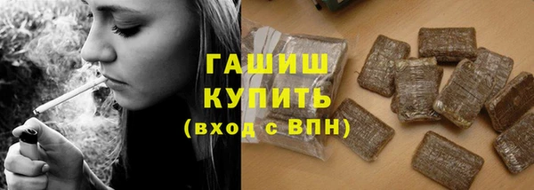 сатива Армянск