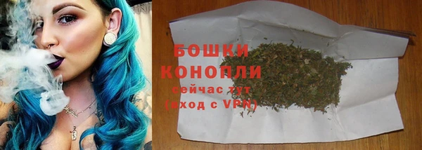 сатива Армянск